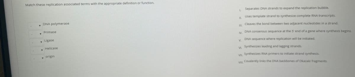 Match these replication associated terms with the appropriate definition or function.
L Separates DNA strands to expand the replication bubble.
Uses template strand to synthesize complete RNA transcripts.
II.
DNA polymerase
. Cleaves the bond between two adjacent nucleotides in a strand.
III.
Primase
DNA consensus sequence at the 5' end of a gene where synthesis begins.
IV.
Ligase
DNA sequence where replication will be initiated.
V.
V. Synthesizes leading and lagging strands.
Helicase
VIL Synthesizes RNA primers to initiate strand synthesis.
origin
VIL Covalently links the DNA backbones of Okazaki fragments.
