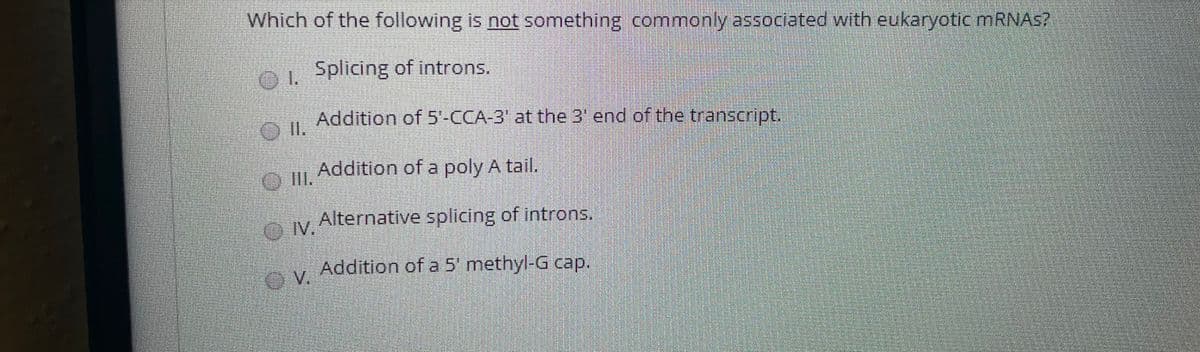 Which of the following is not something commonly associiated with eukaryotic MRNAS?
1.
Splicing of introns.
Addition of 5'-CCA-3' at the 3' end of the transcript.
Addition of a poly A tail.
II.
IV.
iv Alternative splicing of introns.
Addition of a 5' methyl-G cap.
OV.
