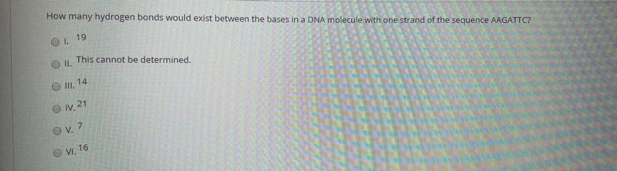 How many hydrogen bonds would exist between the bases in a DNA molecule with one strand of the sequence AAGATTC?
19
This cannot be determined.
14
IV 21
Ov 7
V.
16
OVI,
