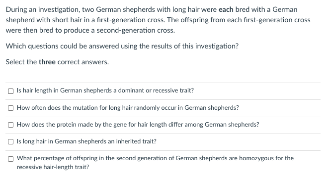 During an investigation, two German shepherds with long hair were each bred with a German
shepherd with short hair in a first-generation cross. The offspring from each first-generation cross
were then bred to produce a second-generation cross.
Which questions could be answered using the results of this investigation?
Select the three correct answers.
O Is hair length in German shepherds a dominant or recessive trait?
O How often does the mutation for long hair randomly occur in German shepherds?
How does the protein made by the gene for hair length differ among German shepherds?
O Is long hair in German shepherds an inherited trait?
O What percentage of offspring in the second generation of German shepherds are homozygous for the
recessive hair-length trait?
