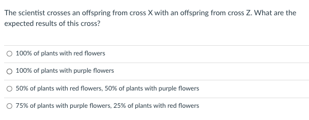 The scientist crosses an offspring from cross X with an offspring from cross Z. What are the
expected results of this cross?
O 100% of plants with red flowers
O 100% of plants with purple flowers
O 50% of plants with red flowers, 50% of plants with purple flowers
O 75% of plants with purple flowers, 25% of plants with red flowers
