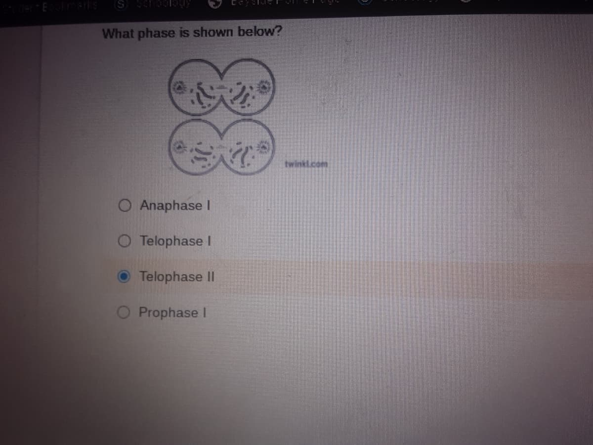 ES ss
(S
What phase is shown below?
twinkl.com
Anaphase I
O Telophase I
Telophase II
O Prophase I
