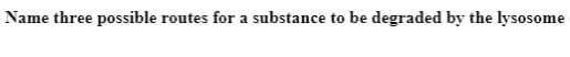 Name three possible routes for a substance to be degraded by the lysosome
