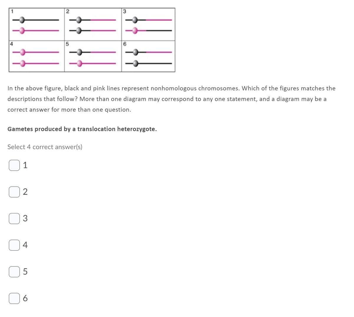 In the above figure, black and pink lines represent nonhomologous chromosomes. Which of the figures matches the
descriptions that follow? More than one diagram may correspond to any one statement, and a diagram may be a
correct answer for more than one question.
Gametes produced by a translocation heterozygote.
Select 4 correct answer(s)
1
3
4
2.

