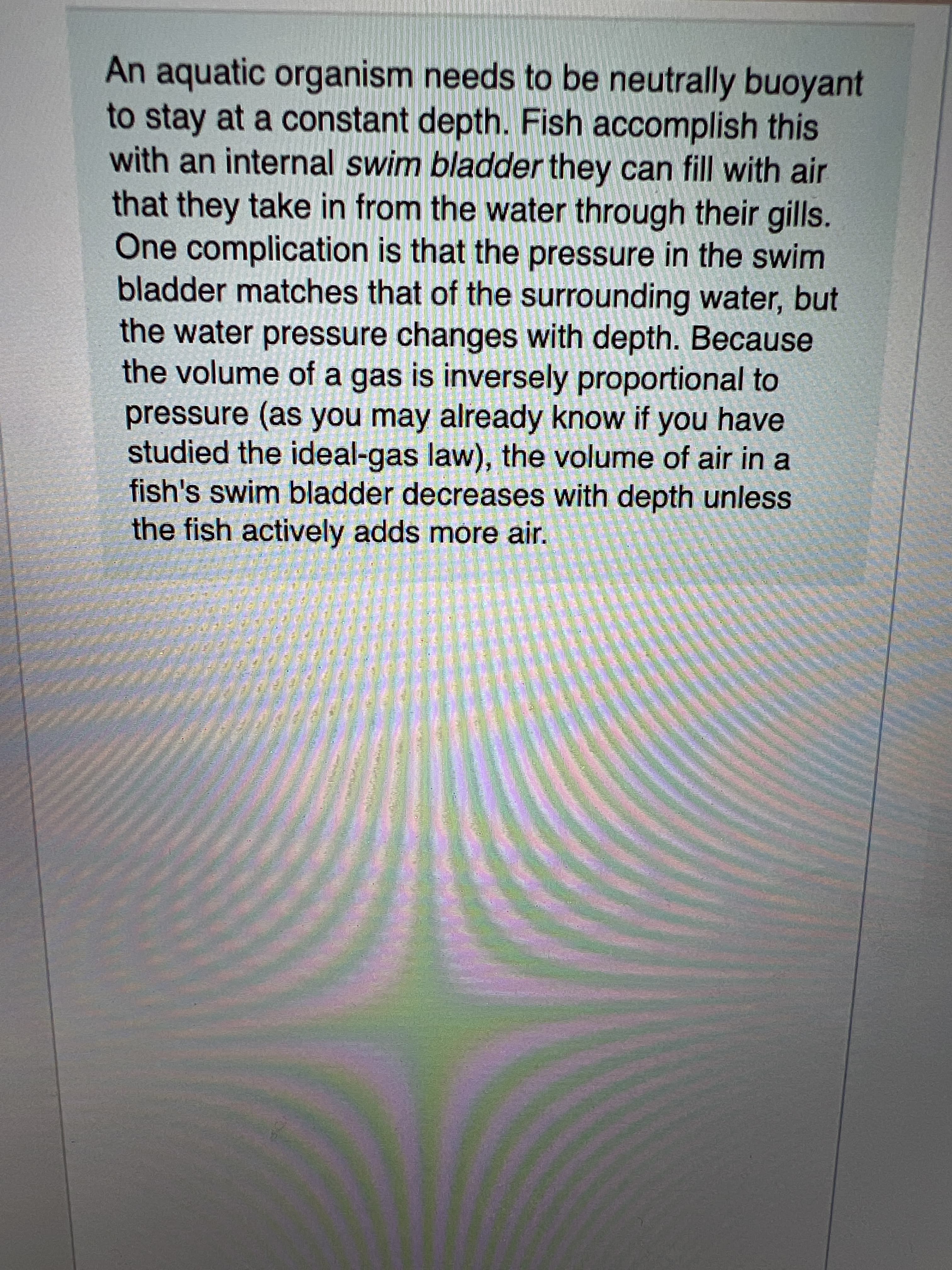 An aquatic organism needs to be neutrally buoyant
to stay at a constant depth. Fish accomplish this
with an internal swim bladder they can fill with air
that they take in from the water through their gills.
One complication is that the pressure in the swim
bladder matches that of the surrounding water, but
the water pressure changes with depth. Because
the volume of a gas is inversely proportional to
pressure (as you may already know if you have
studied the ideal-gas law), the volume of air in a
fish's swim bladder decreases with depth unless
the fish actively adds more air.
