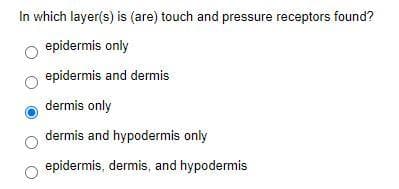 In which layer(s) is (are) touch and pressure receptors found?
epidermis only
epidermis and dermis
dermis only
dermis and hypodermis only
epidermis, dermis, and hypodermis
