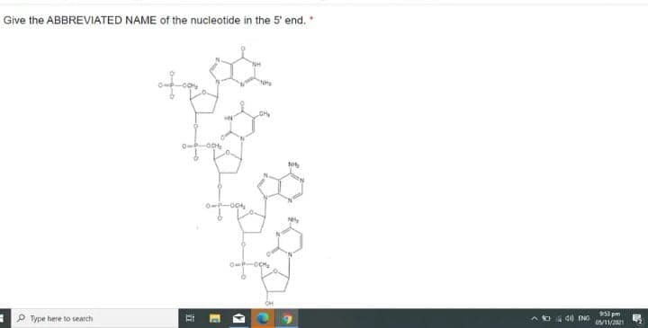 Give the ABBREVIATED NAME of the nucleotide in the 5' end. "
Oe-OCH,
95 pm
P Type here to search
40 ENG
05/11/2021
