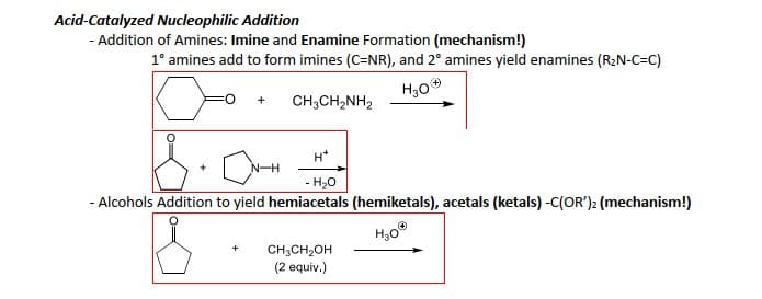 Acid-Catalyzed Nucleophilic Addition
- Addition of Amines: Imine and Enamine Formation (mechanism!)
1° amines add to form imines (C=NR), and 2° amines yield enamines (R₂N-C=C)
CH,CH,NH2
H30*
+
H*
- H₂O
- Alcohols Addition to yield hemiacetals (hemiketals), acetals (ketals) -C(OR')2 (mechanism!)
H30Ⓡ
+
N-H
CH3CH₂OH
(2 equiv.)