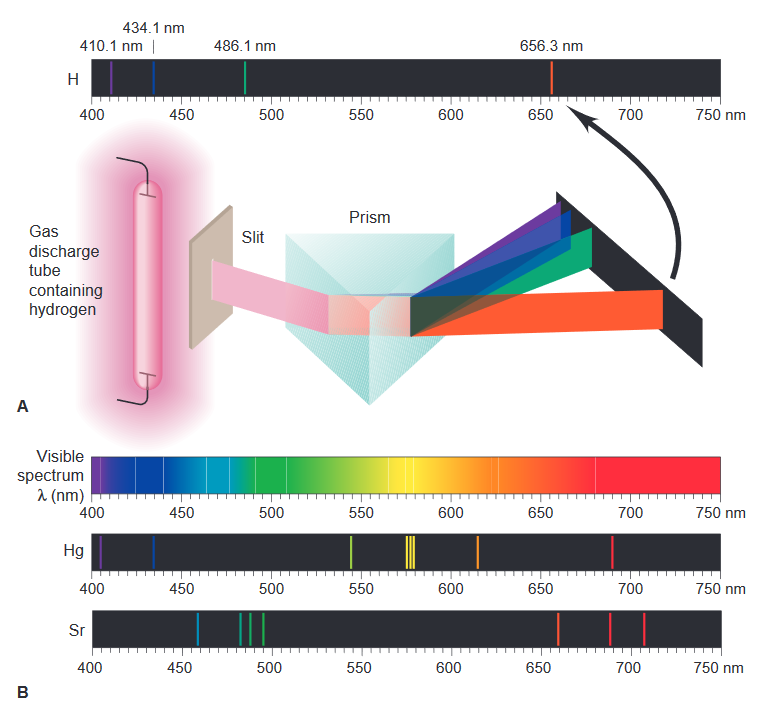 434.1 nm
410.1 nm |
486.1 nm
656.3 nm
H
400
450
500
550
600
650
700
750 nm
Prism
Gas
Slit
discharge
tube
containing
hydrogen
A
Visible
spectrum
1 (nm)
400
450
500
550
600
650
700
750 nm
Hg
400
450
500
550
600
650
700
750 nm
Sr
400
450
500
550
600
650
700
750 nm
B
