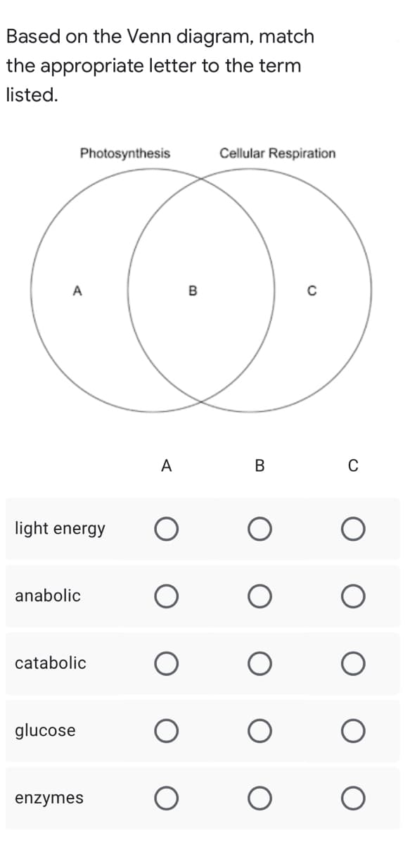 Based on the Venn diagram, match
the appropriate letter to the term
listed.
Photosynthesis
Cellular Respiration
с
A
light energy
anabolic
catabolic
glucose
enzymes
A
B
B
O
O
C
O
O
O
