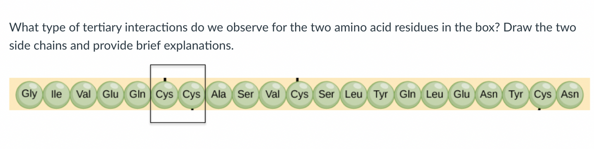 What type of tertiary interactions do we observe for the two amino acid residues in the box? Draw the two
side chains and provide brief explanations.
Gly lle Val Glu Gin | Cys Cys Ala Ser Val Cys Ser Leu Tyr Gln Leu Glu Asn Tyr Cys Asn
