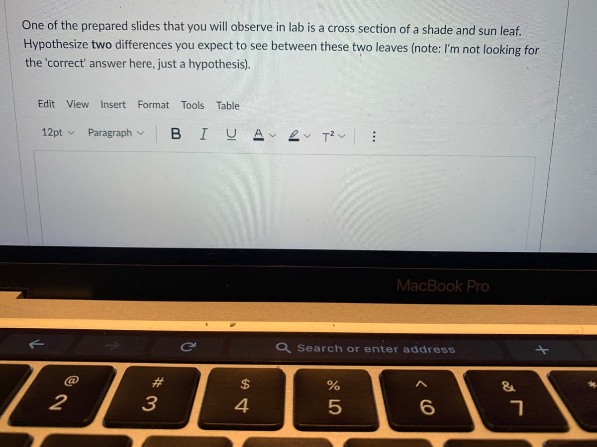 One of the prepared slides that you will observe in lab is a cross section of a shade and sun leaf.
Hypothesize two differences you expect to see between these two leaves (note: I'm not looking for
the 'correct' answer here, just a hypothesis).
Edit View
Insert Format Tools
Table
12pt v
Paragraph v
|BIU
A v
MacBook Pro
Q Search or enter address
2$
&
2
3
4
6.
