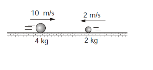 10 m/s
2 m/s
4 kg
2 kg
