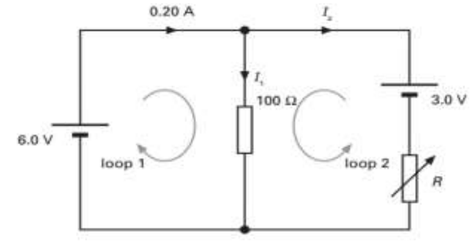 0.20 A
100 2
3.0 V
6.0 V
loop 1
loop 2
