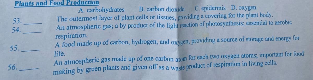 Plants and Food Production
A. carbohydrates
B. carbon dioxide
C. epidermis D. oxygen
The outermost layer of plant cells or tissues, providing a covering for the plant body.
An atmospheric gas; a by product of the light reaction of photosynthesis; essential to aerobic
respiration.
A food made up of carbon, hydrogen, and oxygen, providing a source of storage and energy for
53.
54.
55.
life.
An atmospheric gas made up of one carbon atom for each two oxygen atoms; important for food
making by green plants and given off as a waste product of respiration in living cells.
56.
