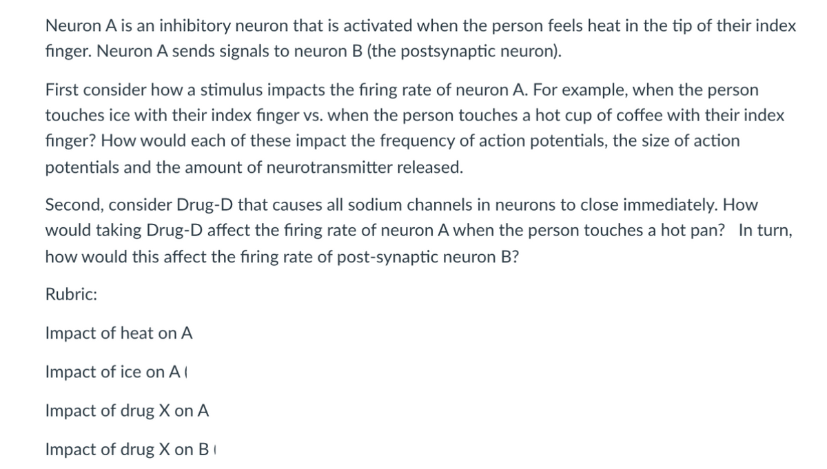 Neuron A is an inhibitory neuron that is activated when the person feels heat in the tip of their index
finger. Neuron A sends signals to neuron B (the postsynaptic neuron).
First consider how a stimulus impacts the firing rate of neuron A. For example, when the person
touches ice with their index finger vs. when the person touches a hot cup of coffee with their index
finger? How would each of these impact the frequency of action potentials, the size of action
potentials and the amount of neurotransmitter released.
Second, consider Drug-D that causes all sodium channels in neurons to close immediately. How
would taking Drug-D affect the firing rate of neuron A when the person touches a hot pan? In turn,
how would this affect the firing rate of post-synaptic neuron B?
Rubric:
Impact of heat on A
Impact of ice on A (
Impact of drug X on A
Impact of drug X on B 1
