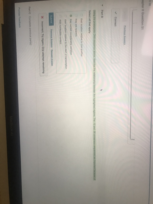 H 08
mapter 8 Question 51
Previous Answers
✓ Correct
Part B
Using the prokaryotic DNA sequence above, describe the relationship between the highlighted regions. The -10 and -35 consensus sequences are important because of
Select all that apply.
their location relative to one another
they are spacers
they exhibit considerable variation
their location relative to the start of transcription
their nucleotide content
Submit Previous Answers Request Answer
X Incorrect; Try Again; One attempt remaining
Part C Complete previous part(s)
Provide Feedback
MacBook Air