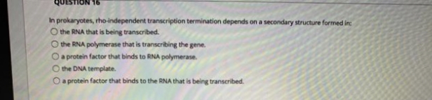QUESTION 16
In prokaryotes, rho-independent transcription termination depends on a secondary structure formed in:
O the RNA that is being transcribed.
O the RNA polymerase that is transcribing the gene.
O a protein factor that binds to RNA polymerase.
the DNA template.
a protein factor that binds to the RNA that is being transcribed.