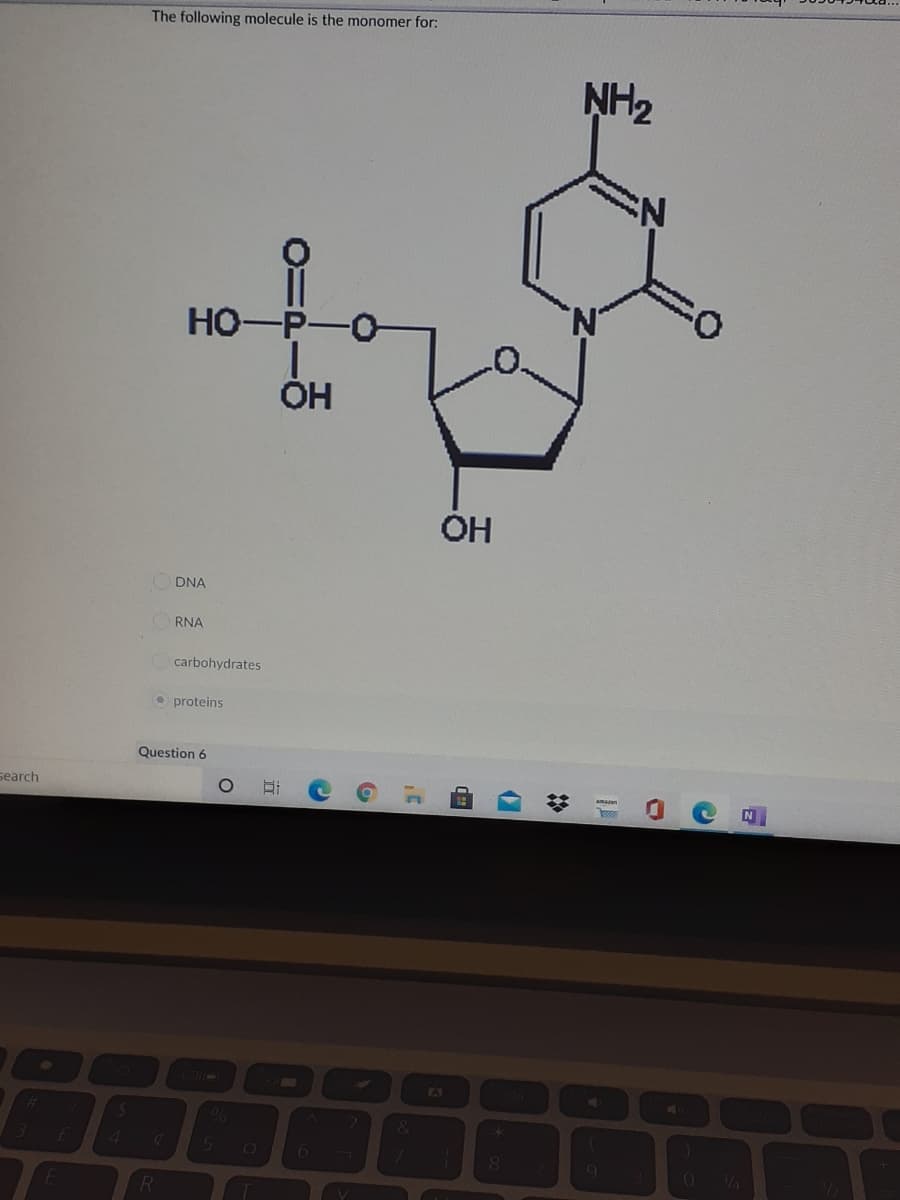 The following molecule is the monomer for:
NH2
N:
HO-P-O-
OH
DNA
RNA
carbohydrates
O proteins
Question 6
search
N
A3
NA
4.
51
VA
近
