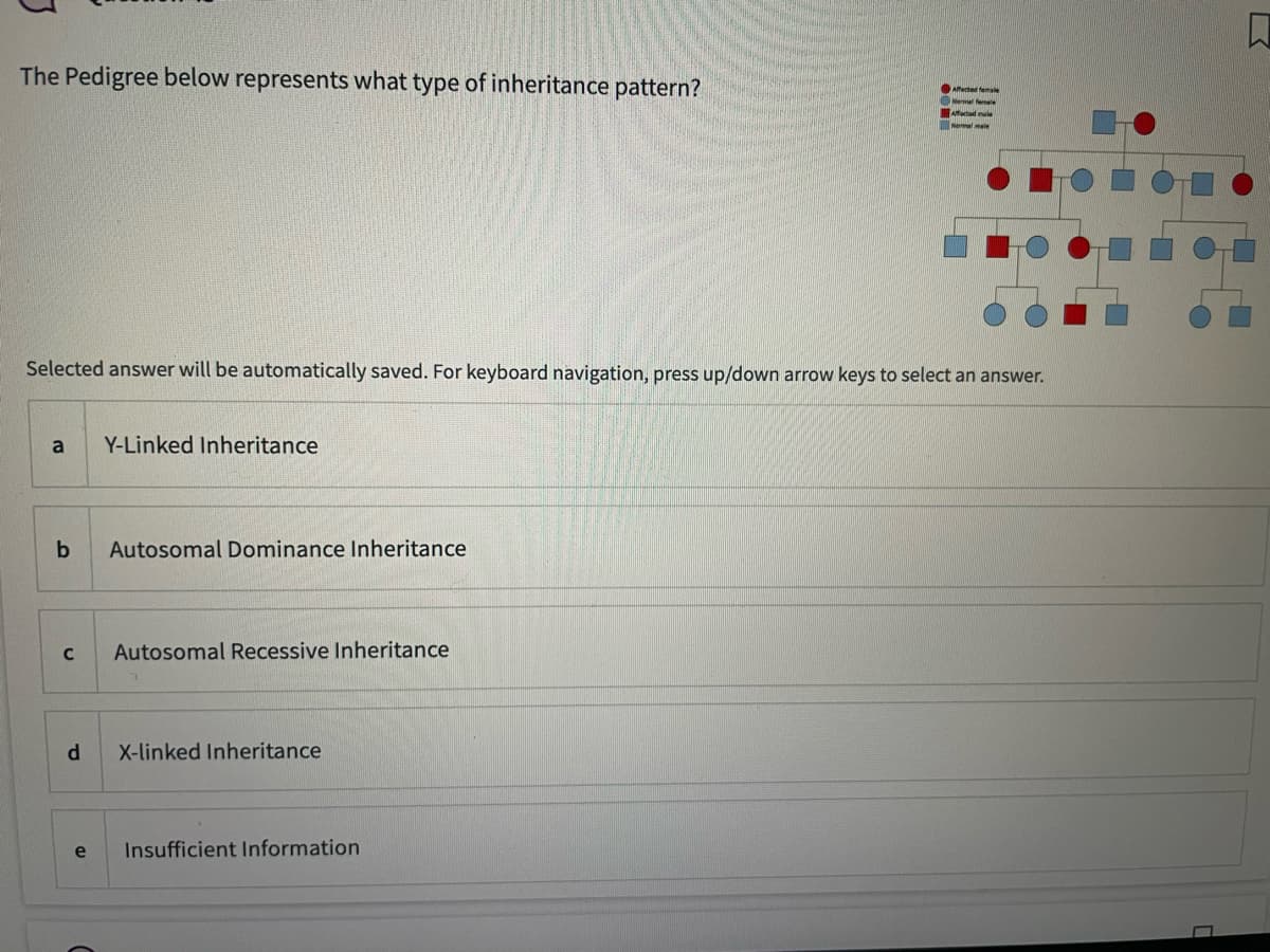 The Pedigree below represents what type of inheritance pattern?
Selected answer will be automatically saved. For keyboard navigation, press up/down arrow keys to select an answer.
a
b
C
d
e
Y-Linked Inheritance
Autosomal Dominance Inheritance
Autosomal Recessive Inheritance
X-linked Inheritance
Affected female
Normal femal
Afaced male
Normal male
Insufficient Information
♫