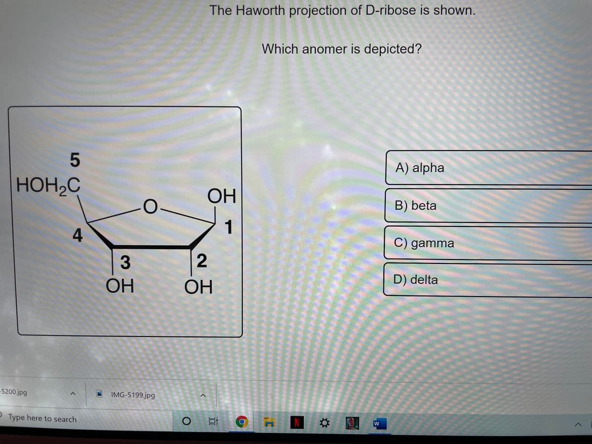 The Haworth projection of D-ribose is shown.
Which anomer is depicted?
A) alpha
HOH2C
OH
B) beta
1
4
C) gamma
3
2
OH
OH
D) delta
-5200.jpg
IMG-5199.jpg
Type here to search
N
W
