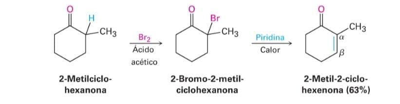 Br
H
-CH3
-CH3
Jon Jon
2-Metilciclo-
hexanona
Br₂
Ácido
acético
2-Bromo-2-metil-
ciclohexanona
Piridina
Calor
OL
В
CH3
2-Metil-2-ciclo-
hexenona (63%)
