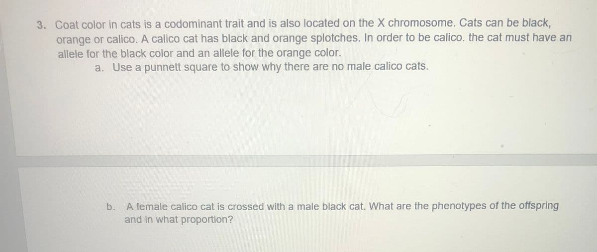 3. Coat color in cats is a codominant trait and is also located on the X chromosome. Cats can be black,
orange or calico. A calico cat has black and orange splotches. In order to be calico. the cat must have an
allele for the black color and an allele for the orange color.
a. Use a punnett square to show why there are no male calico cats.
A female calico cat is crossed with a male black cat. What are the phenotypes of the offspring
and in what proportion?
b.
