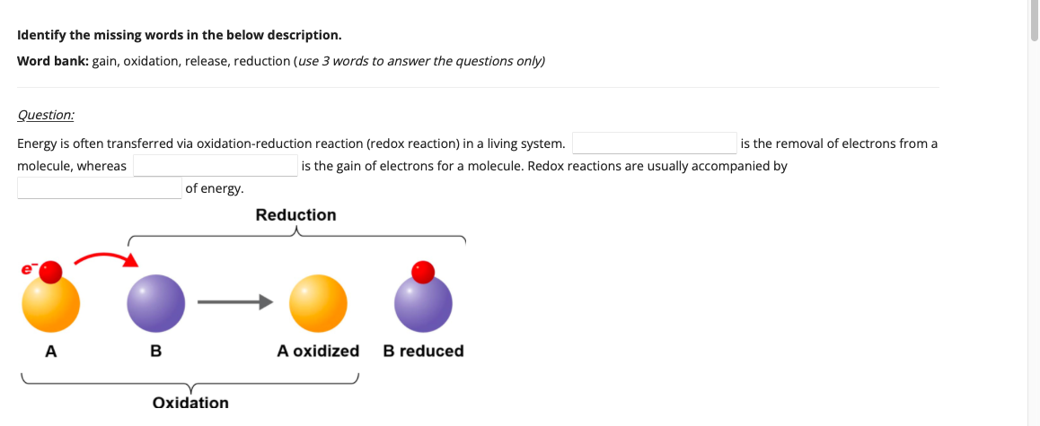 Identify the missing words in the below description.
Word bank: gain, oxidation, release, reduction (use 3 words to answer the questions only)
Question:
Energy is often transferred via oxidation-reduction reaction (redox reaction) in a living system.
molecule, whereas
is the gain of electrons for a molecule. Redox reactions are usually accompanied by
A
B
of energy.
Oxidation
Reduction
A oxidized B reduced
is the removal of electrons from a
