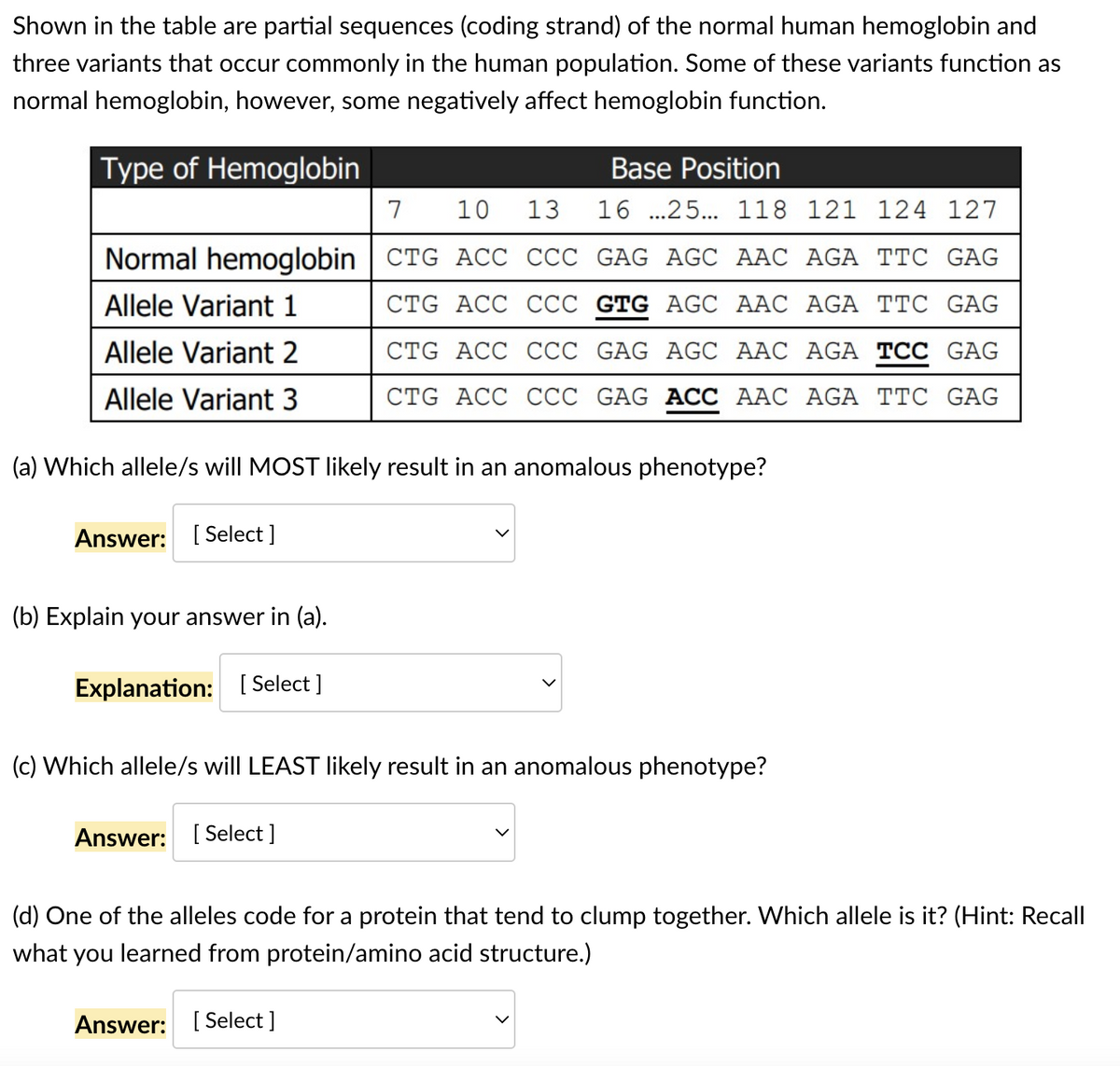 Shown in the table are partial sequences (coding strand) of the normal human hemoglobin and
three variants that occur commonly in the human population. Some of these variants function as
normal hemoglobin, however, some negatively affect hemoglobin function.
Type of Hemoglobin
Base Position
7 10 13
16.25... 118 121 124 127
CTG ACC CCC GAG AGC AAC AGA TTC GAG
Normal hemoglobin
Allele Variant 1
Allele Variant 2
Allele Variant 3
CTG ACC CCC GTG AGC AAC AGA TTC GAG
CTG ACC CCC GAG AGC AAC AGA TCC GAG
CTG ACC CCC GAG ACC AAC AGA TTC GAG
(a) Which allele/s will MOST likely result in an anomalous phenotype?
Answer: [Select]
(b) Explain your answer in (a).
Explanation: [Select]
(c) Which allele/s will LEAST likely result in an anomalous phenotype?
Answer: [Select]
(d) One of the alleles code for a protein that tend to clump together. Which allele is it? (Hint: Recall
what you learned from protein/amino acid structure.)
Answer: [Select]