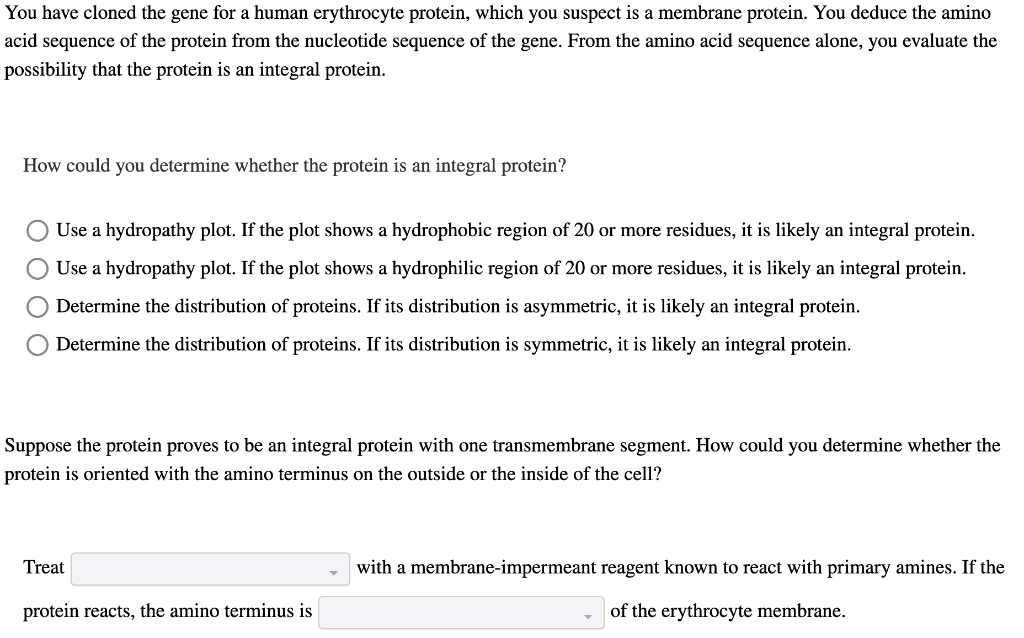 You have cloned the gene for a human erythrocyte protein, which you suspect is a membrane protein. You deduce the amino
acid sequence of the protein from the nucleotide sequence of the gene. From the amino acid sequence alone, you evaluate the
possibility that the protein is an integral protein.
How could you determine whether the protein is an integral protein?
Use a hydropathy plot. If the plot shows a hydrophobic region of 20 or more residues, it is likely an integral protein.
Use a hydropathy plot. If the plot shows a hydrophilic region of 20 or more residues, it is likely an integral protein.
Determine the distribution of proteins. If its distribution is asymmetric, it is likely an integral protein.
Determine the distribution of proteins. If its distribution is symmetric, it is likely an integral protein.
Suppose the protein proves to be an integral protein with one transmembrane segment. How could you determine whether the
protein is oriented with the amino terminus on the outside or the inside of the cell?
Treat
protein reacts, the amino terminus is
with a membrane-impermeant reagent known to react with primary amines. If the
of the erythrocyte membrane.