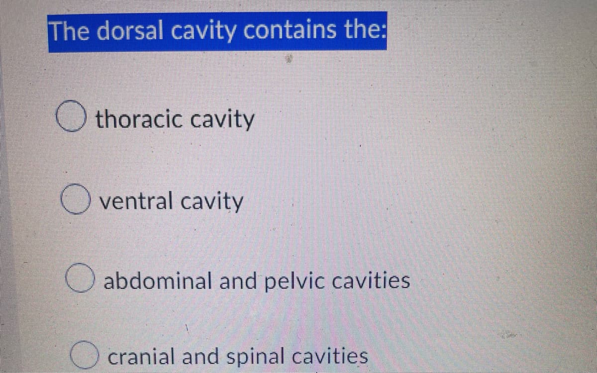 The dorsal cavity contains the:
thoracic cavity
ventral cavity
abdominal and pelvic cavities
cranial and spinal cavities