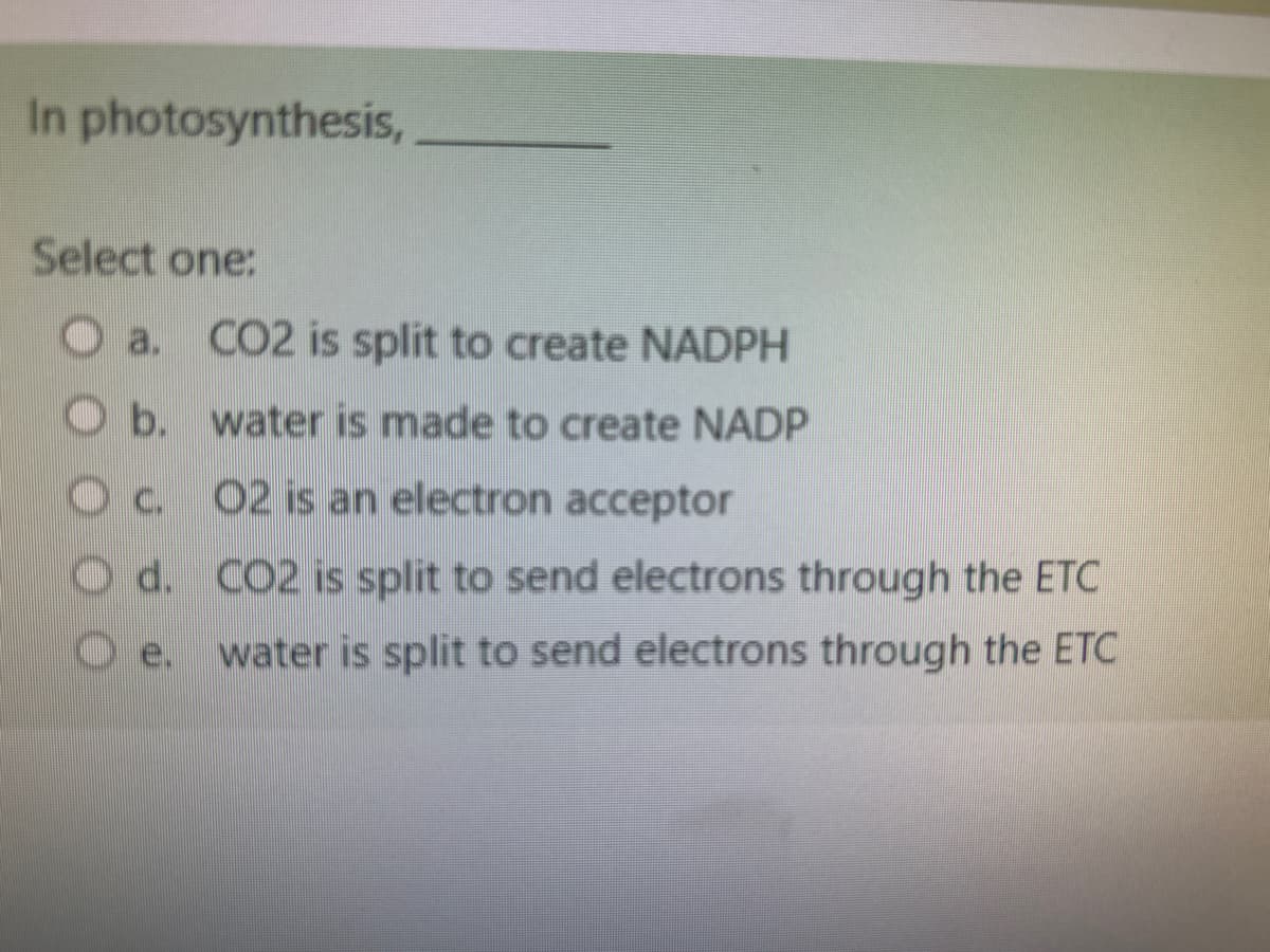 In photosynthesis,
Select one:
O a. CO2 is split to create NADPH
b.
water is made to create NADP
c.
O2 is an electron acceptor
Od.
CO2 is split to send electrons through the ETC
water is split to send electrons through the ETC