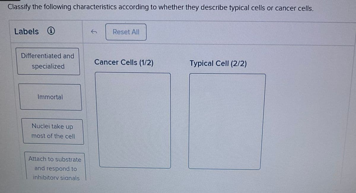 Classify the following characteristics according to whether they describe typical cells or cancer cells.
Labels
Differentiated and
specialized
Immortal
Nuclei take up
most of the cell
Attach to substrate
and respond to
inhibitorv signals
Reset All
Cancer Cells (1/2)
Typical Cell (2/2)