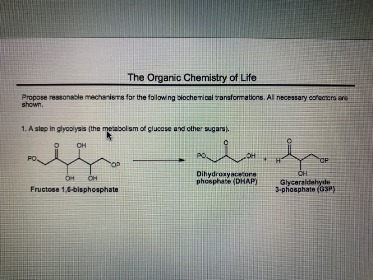 The Organic Chemistry of Life
Propose reasonable mechanisms for the following biochemical transformations. All necessary cofactors are
shown.
1. A step in glycolysis (the metabolism of glucose and other sugars).
OH
PO
PO.
OH
H.
OP
OP
Dihydroxyacetone
phosphate (DHAP)
OH
OH
OH
Glyceraldehyde
3-phosphate (G3P)
Fructose 1,6-bisphosphate

