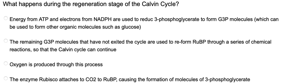 What happens during the regeneration stage of the Calvin Cycle?
Energy from ATP and electrons from NADPH are used to reduc 3-phosphoglycerate to form G3P molecules (which can
be used to form other organic molecules such as glucose)
The remaining G3P molecules that have not exited the cycle are used to re-form RuBP through a series of chemical
reactions, so that the Calvin cycle can continue
Oxygen is produced through this process
The enzyme Rubisco attaches to CO2 to RuBP, causing the formation of molecules of 3-phosphoglycerate
