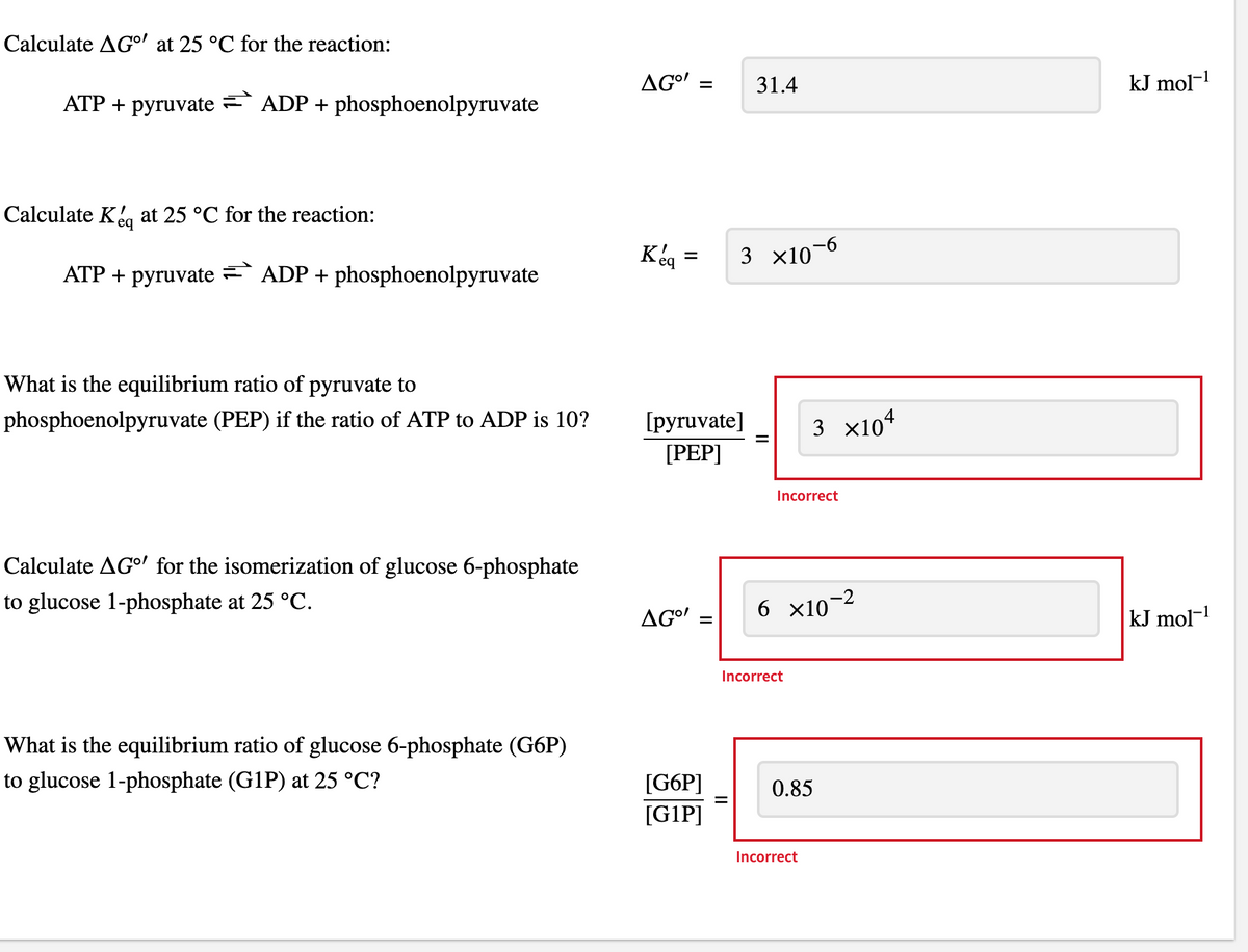 Calculate AG°' at 25 °C for the reaction:
ATP + pyruvate = ADP + phosphoenolpyruvate
Calculate Keq at 25 °C for the reaction:
ATP + pyruvate = ADP + phosphoenolpyruvate
What is the equilibrium ratio of pyruvate to
phosphoenolpyruvate (PEP) if the ratio of ATP to ADP is 10?
Calculate AG' for the isomerization of glucose 6-phosphate
to glucose 1-phosphate at 25 °C.
What is the equilibrium ratio of glucose 6-phosphate (G6P)
to glucose 1-phosphate (G1P) at 25 °C?
AGO! =
Keq=
[pyruvate]
[PEP]
AGO!
II
[G6P]
[G1P]
31.4
3 ×10-6
Incorrect
3 x104
6 X10-2
Incorrect
0.85
Incorrect
kJ mol-¹
kJ mol-¹