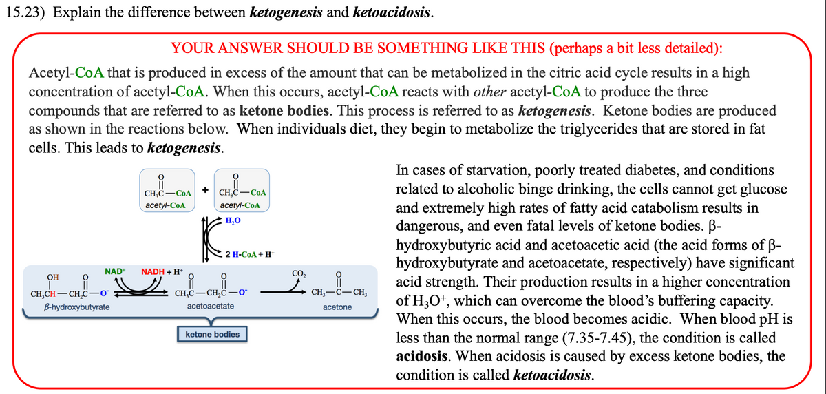 15.23) Explain the difference between ketogenesis and ketoacidosis.
YOUR ANSWER SHOULD BE SOMETHING LIKE THIS (perhaps a bit less detailed):
Acetyl-CoA that is produced in excess of the amount that can be metabolized in the citric acid cycle results in a high
concentration of acetyl-CoA. When this occurs, acetyl-CoA reacts with other acetyl-CoA to produce the three
compounds that are referred to as ketone bodies. This process is referred to as ketogenesis. Ketone bodies are produced
as shown in the reactions below. When individuals diet, they begin to metabolize the triglycerides that are stored in fat
cells. This leads to ketogenesis.
NAD
ОН
CH₂CH-CH₂C-0
B-hydroxybutyrate
CHO-COA
acetyl-CoA
NADH + H+
ہے
+
CHIC-COA
acetyl-CoA
H₂O
2 H-CoA + H+
_______
CH₂C-CH₂C-0
acetoacetate
ketone bodies
CO₂
LCH_i_
CH₂-C-CH,
acetone
In cases of starvation, poorly treated diabetes, and conditions
related to alcoholic binge drinking, the cells cannot get glucose
and extremely high rates of fatty acid catabolism results in
dangerous, and even fatal levels of ketone bodies. ß-
hydroxybutyric acid and acetoacetic acid (the acid forms of ß-
hydroxybutyrate and acetoacetate, respectively) have significant
acid strength. Their production results in a higher concentration
of H3O+, which can overcome the blood's buffering capacity.
When this occurs, the blood becomes acidic. When blood pH is
less than the normal range (7.35-7.45), the condition is called
acidosis. When acidosis is caused by excess ketone bodies, the
condition is called ketoacidosis.