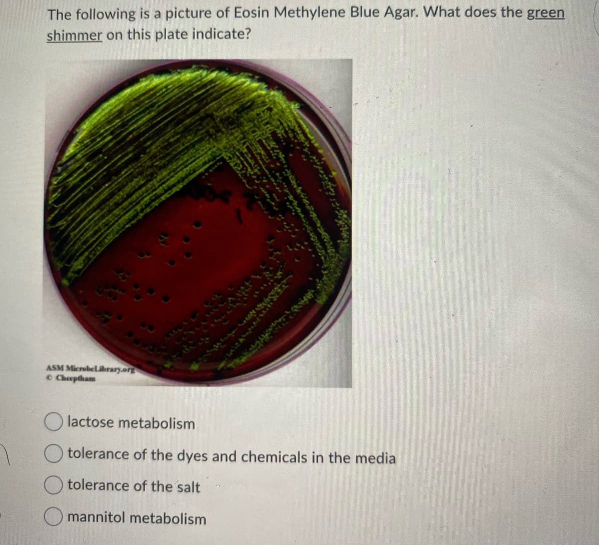 The following is a picture of Eosin Methylene Blue Agar. What does the green
shimmer on this plate indicate?
ASM MicrobeLibrary.org
© Cheeptham
CON
LASZAMSAL
lactose metabolism
Otolerance of the dyes and chemicals in the media
tolerance of the salt
mannitol metabolism