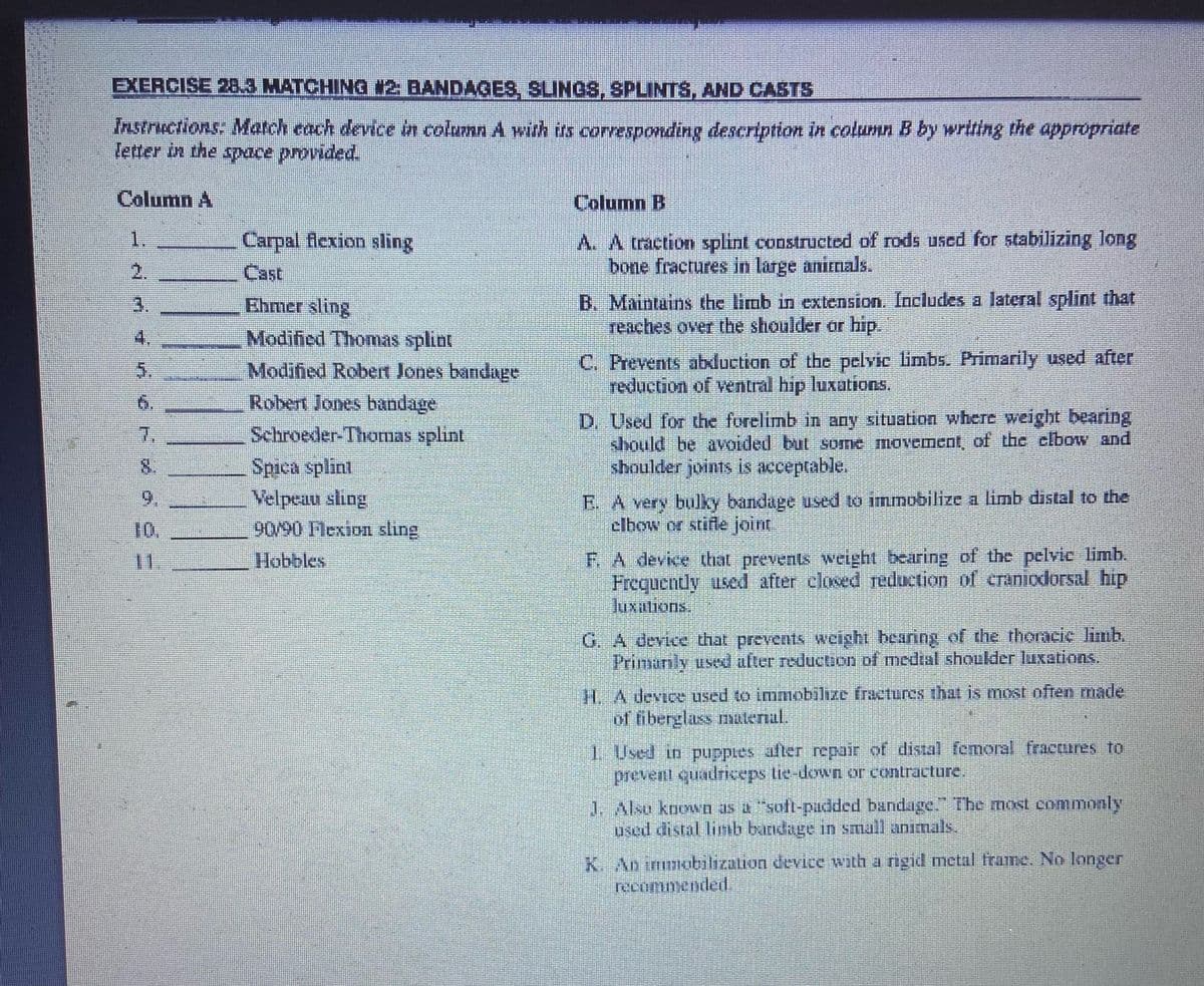 EXERCISE 28,3 MATCHING #2: BANDAGES, SLINGS, SPLINTS, AND CASTS
Instructions: Match each device in column A with its corresponding description in column B by writing the appropriate
letter in the space provided.
Column A
1.
3
8.
9
11
Carpal flexion sling
Cast
Ehmer sling
Modified Thomas splint
Modified Robert Jones bandage
Robert Jones bandage
Schroeder-Thomas splint
Spica splint
Velpeau sling
90/90 Flexion sling
Hobbles
Column B
A. A traction splint constructed of rods used for stabilizing long
bone fractures in large animals.
B. Maintains the limb in extension. Includes a lateral splint that
reaches over the shoulder or hip.
C. Prevents abduction of the pelvic limbs. Primarily used after
reduction of ventral hip luxations.
D. Used for the forelimb in any situation where weight bearing
should be avoided but some movement of the elbow and
shoulder joins is acceptable.
E. A very bulky bandage used to immobilize a limb distal to the
elbow or stifle joint
F. A device that prevents weight bearing of the pelvic limb.
Frequently used after closed reduction of craniodorsal hip
luxations.
G. A device that prevents weight bearing of the thoracic limb.
Primanly used after reduction of medial shoulder luxations.
H. A device used to immobilize fractures that is most often made
of fiberglass material.
1. Used in puppies after repair of distal femoral fractures to
prevent quadriceps tie-down or contracture.
J. Also known as a "soft-padded bandage. The most commonly
used distal limb bandage in small animals.
K. An immobilization device with a rigid metal frame. No longer
recommended