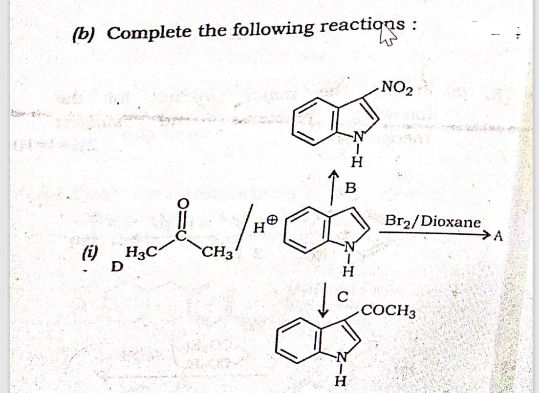 (b) Complete the following reactions :
(i)
D
H3C
CH3
H
H
كما
.NO2
B
| Bra/Dioxane
.COCH3
A