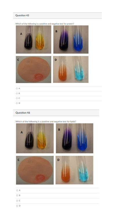 Question 45
Which of the following is a positive and negative test for protein?
OA
OB
ос
OD
Question 46
Which of the following is a positive and negative test for lipids?
OA
OB
ос
OD