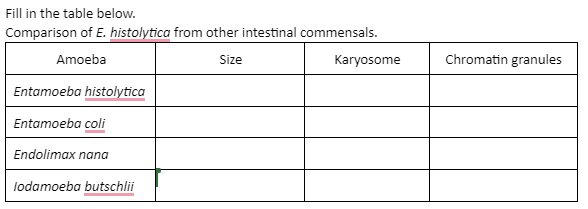 Fill in the table below.
Comparison of E. histolytica from other intestinal commensals.
Amoeba
Size
Entamoeba histolytica
Entamoeba coli
Endolimax nana
lodamoeba butschlii
Karyosome
Chromatin granules