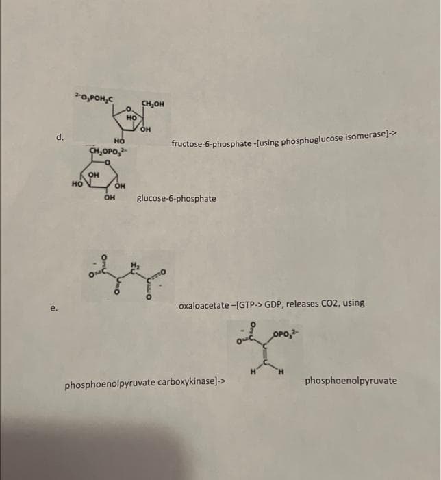 -o,POH,C
CH,OH
но
он
но
fructose-6-phosphate -[using phosphoglucose isomerase]->
CH,OPo,-
он
но
OH
OH
glucose-6-phosphate
oxaloacetate -[GTP-> GDP, releases CO2, using
OPo,
phosphoenolpyruvate carboxykinase]->
phosphoenolpyruvate

