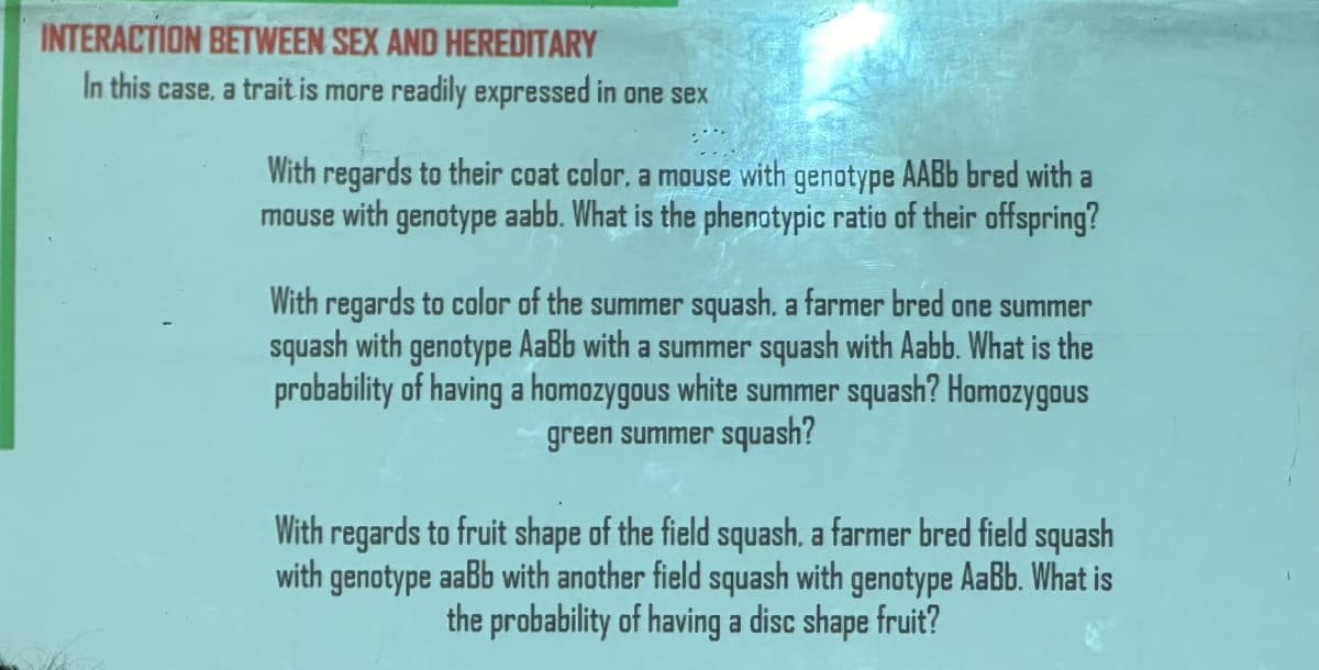 INTERACTION BETWEEN SEX AND HEREDITARY
In this case, a trait is more readily expressed in one sex
With regards to their coat color, a mouse with genotype AABb bred with a
mouse with genotype aabb. What is the phenotypic ratio of their offspring?
With regards to color of the summer squash, a farmer bred one summer
squash with genotype AaBb with a summer squash with Aabb. What is the
probability of having a homozygous white summer squash? Homozygous
green summer squash?
With regards to fruit shape of the field squash, a farmer bred field squash
with genotype aaBb with another field squash with genotype AaBb. What is
the probability of having a disc shape fruit?