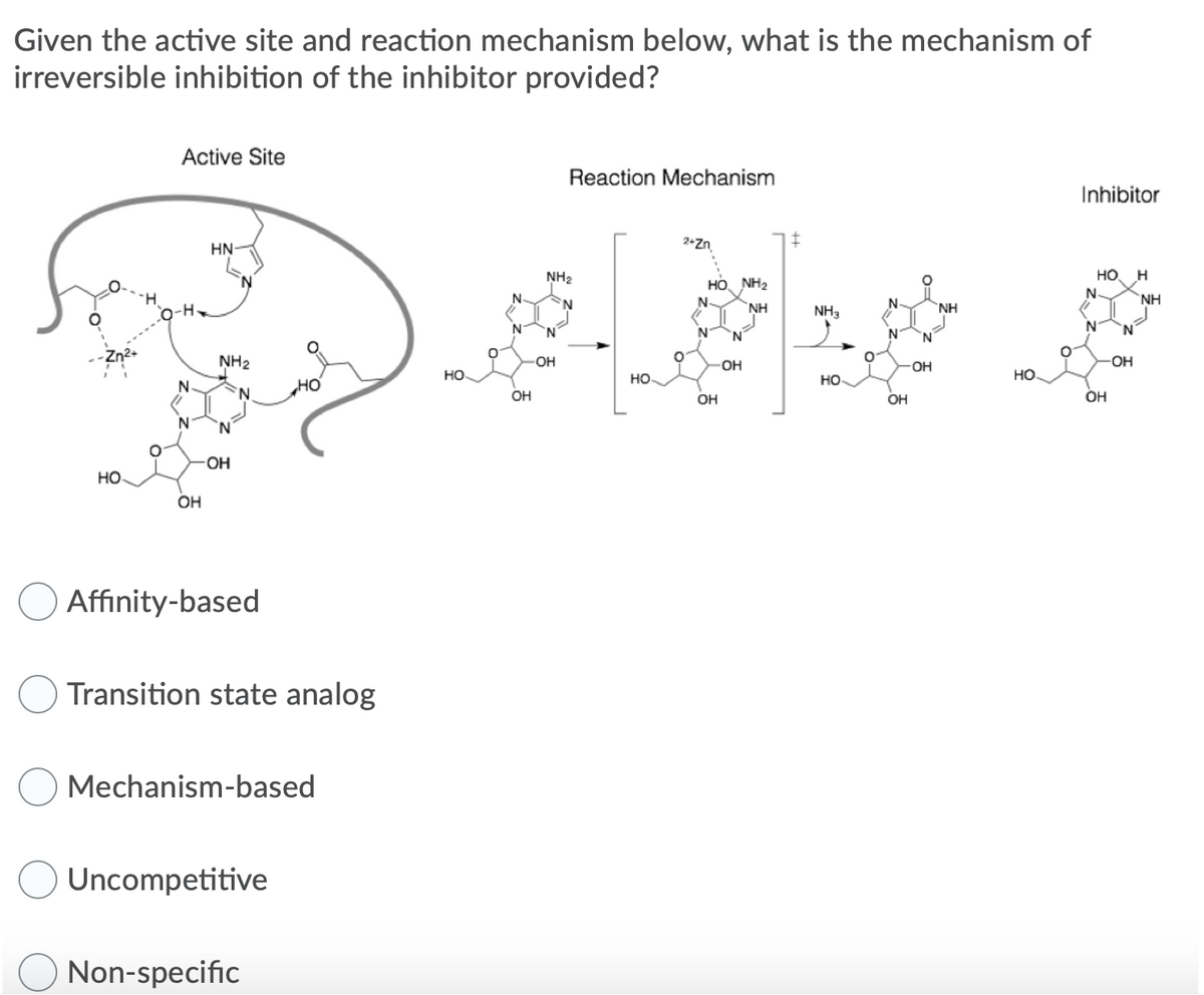 Given the active site and reaction mechanism below, what is the mechanism of
irreversible inhibition of the inhibitor provided?
Active Site
Reaction Mechanism
Inhibitor
HN
2*Zn
но
NH2
N-
HO, NH2
N.
NH
NH
NH
O-H
NH3
N.
N
'N'
NH2
OH
OH
OH
OH
Но.
но.
но.
но
'N.
OH
OH
OH
OH
N.
HO-
Но
OH
Affinity-based
Transition state analog
Mechanism-based
Uncompetitive
Non-specific
