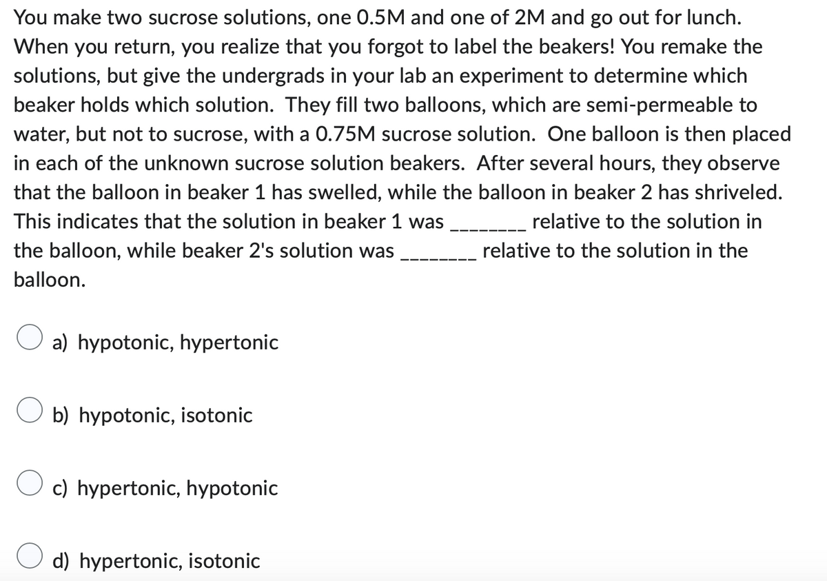 You make two sucrose solutions, one 0.5M and one of 2M and go out for lunch.
When you return, you realize that you forgot to label the beakers! You remake the
solutions, but give the undergrads in your lab an experiment to determine which
beaker holds which solution. They fill two balloons, which are semi-permeable to
water, but not to sucrose, with a 0.75M sucrose solution. One balloon is then placed
in each of the unknown sucrose solution beakers. After several hours, they observe
that the balloon in beaker 1 has swelled, while the balloon in beaker 2 has shriveled.
This indicates that the solution in beaker 1 was
the balloon, while beaker 2's solution was
balloon.
relative to the solution in
relative to the solution in the
a) hypotonic, hypertonic
b) hypotonic, isotonic
c) hypertonic, hypotonic
d) hypertonic, isotonic