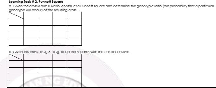 Learning Task # 2. Punnett Square
a. Given the cross AaBb X AaBb, construct a Punnett square and determine the genotypic ratio (the probability that a particular
genotype will occur) of the resulting cross
b. Given this cross, TtGg X TtGg, fill-up the squares with the correct answer.