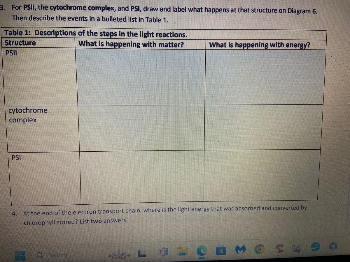 3. For PSII, the cytochrome complex, and PSI, draw and label what happens at that structure on Diagram 6.
Then describe the events in a bulleted list in Table 1.
Table 1: Descriptions of the steps in the light reactions.
Structure
What is happening with matter?
PSII
cytochrome
complex
f
What is happening with energy?
4
At the end of the electron transport chain, where is the light energy that was absorbed and converted by
chlorophyll stored? List two answers,
LIDE C
EMERSINEMIS
MENOR mang
U
□ M