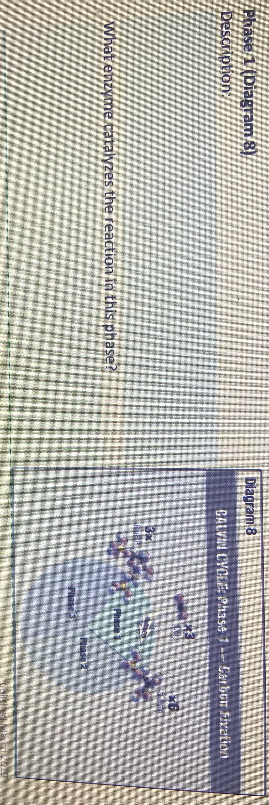 Phase 1 (Diagram 8)
Description:
What enzyme catalyzes the reaction in this phase?
Diagram 8
CALVIN CYCLE: Phase 1 - Carbon Fixation
3x
花
-3
Phase 1
Phase 3
x6
3-PEA
7
Phase 2
Published March 2019.