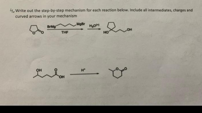 4, Write out the step-by-step mechanism for each reaction below. Include all intermediates, charges and
curved arrows in your mechanism
BrMg
THF
MgBr
H*
H₂O(*)
HO
OH